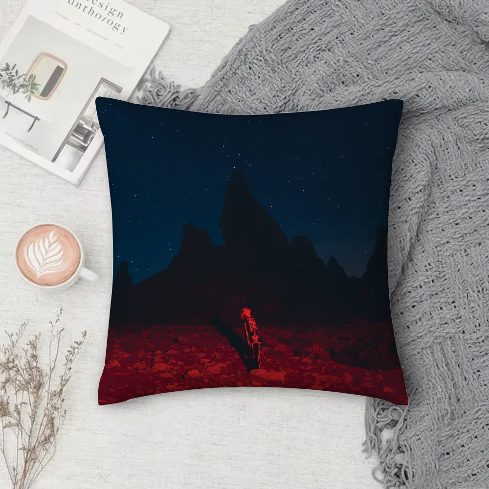 

Чехол для подушки Singer P-Phoebe B- Bridgers, квадратный, с узором, для комфортных подушек, подходит для комнаты.