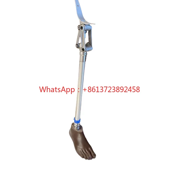 prosthesis leg artificial limbs implants  prosthetic leg prosthesis