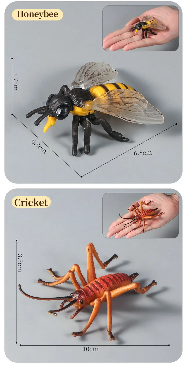 Pädagogisches Insekten-Tiere-Modell-Spielzeug-Set mit Schmetterling, Biene, Libelle, Mantis, Ameise, Schnecke, Actionfiguren für Kinder, Sammlung, Dekoration – Detail 5