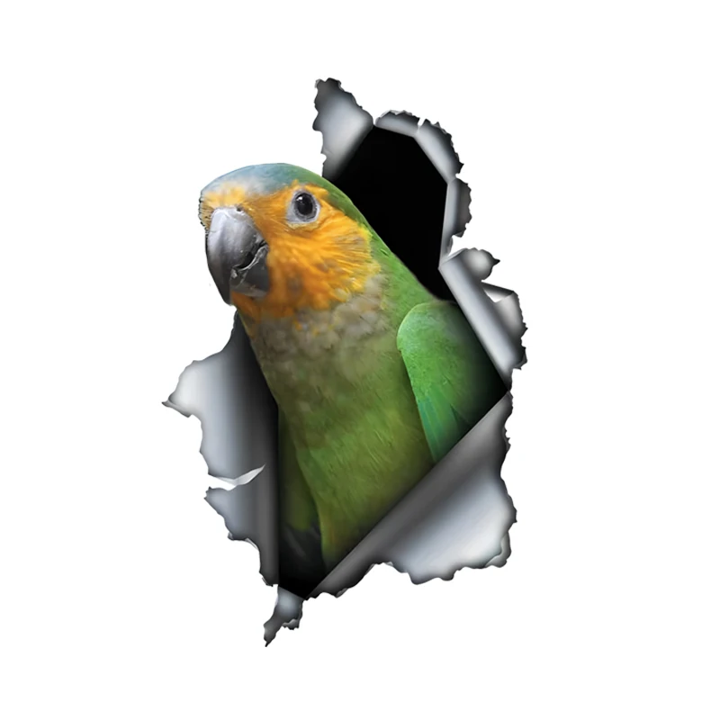 DK455 #   Etiqueta engomada del coche 3D de St. Thomas Brown Throated Conure, divertida et impermeable para automóviles, camiones, motocicletas, paredes, ventanas, fotovoltaicos