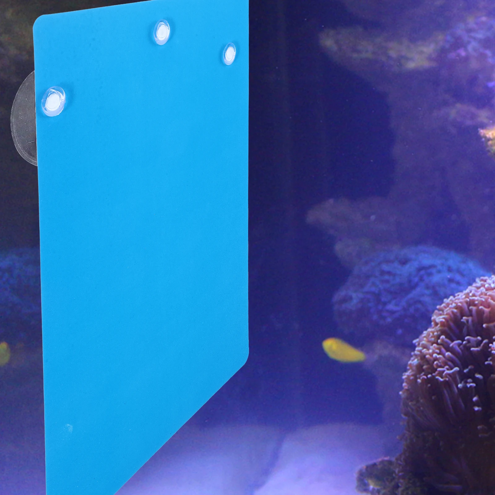 

2 Sets Blue Fish Breeding Plates Spawning Board Aquarium Tank Supplies Lightweight Detachable Plastic Hatchery Safe