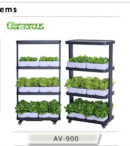 Efficient Greenhouse and Hydroponic Growing System for Indoor Herb Garden with Light