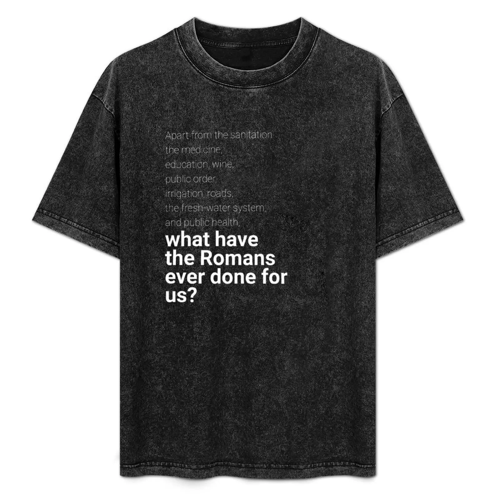 

What have the romans ever done for us T-Shirt Big and Tall Short Sleeve Tee