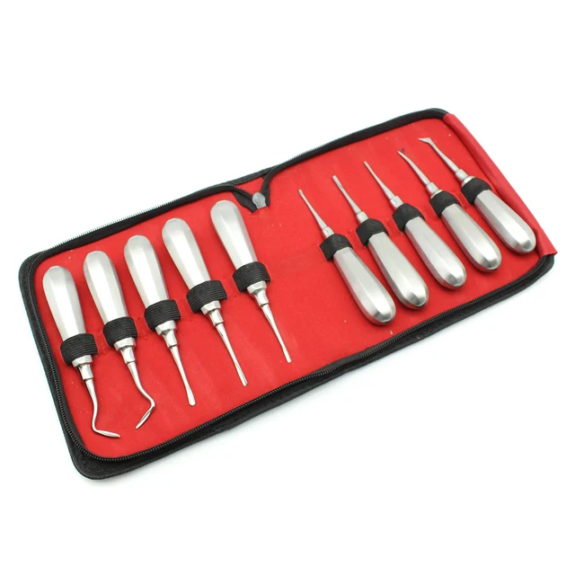 10 sztuk winda dentystyczna ekstrakcja zębów kleszcze do wyciągania zębów ze stali nierdzewnej zakrzywiony korzeń winda winda dentysta narzędzia chirurgiczne