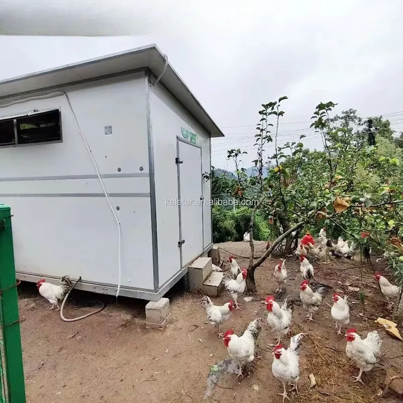 Commercial outdoor huge movable chicken coop on wheels