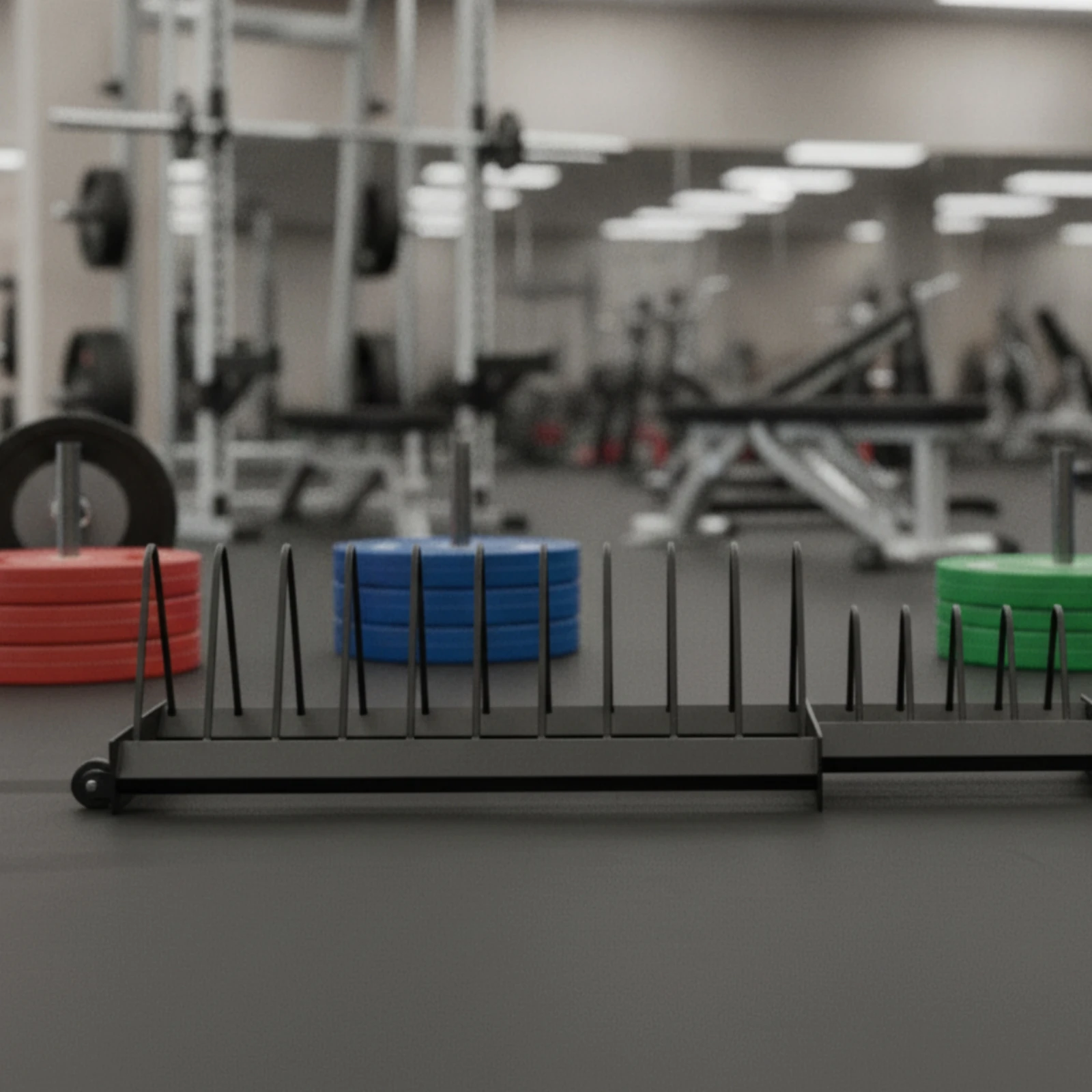 Weight Plate Storage Rack with Wheels Portable Weight Plate Rack Long-Lasting Space-Saving for Gym Owners, Fitness Center