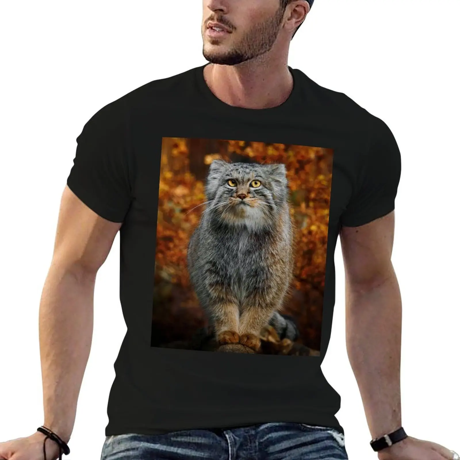 

man t for t graphic shirts Pallas's designer shirts vintage Manul / Cat T-Shirt