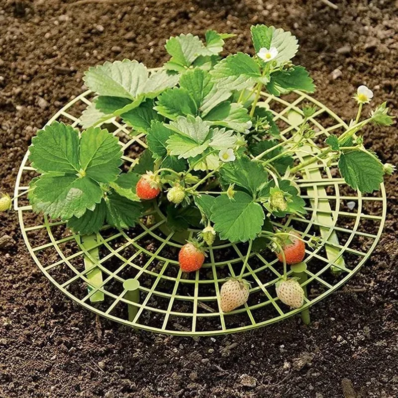 

Pot Cultivation, Plant Climbing, Strawberry Planting Home Gardening Supports