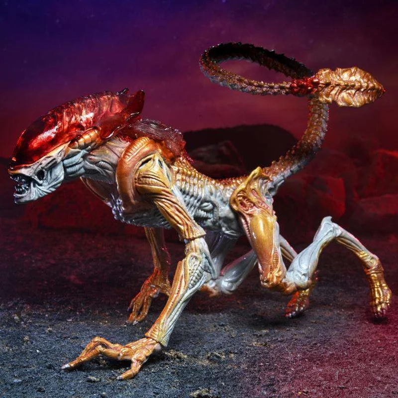 

Подлинная оригинальная Подлинная экшн-фигурка Neca51715 Alien Cougar Kenne трибуна 7 дюймов