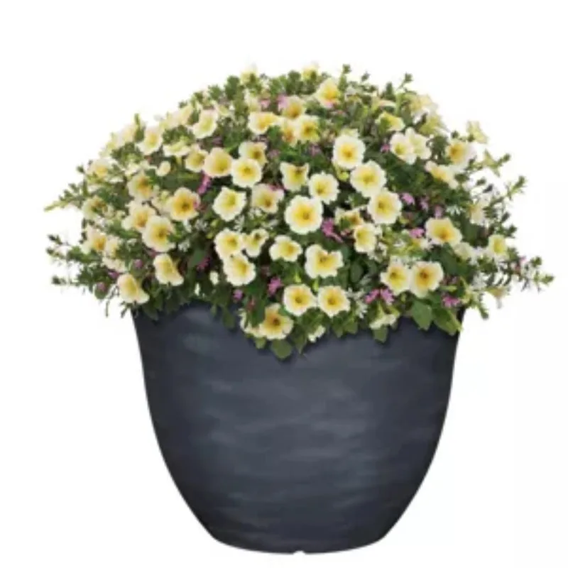 US Honeysuckle Planter, Patio Pot, 13