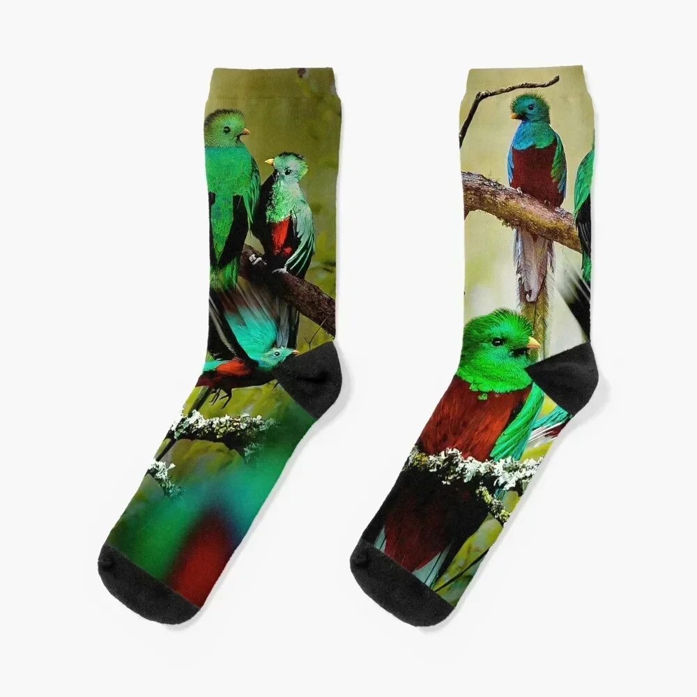 

Quetzal Socks Soccer with print anti-slip snow Ladies Socks Men's