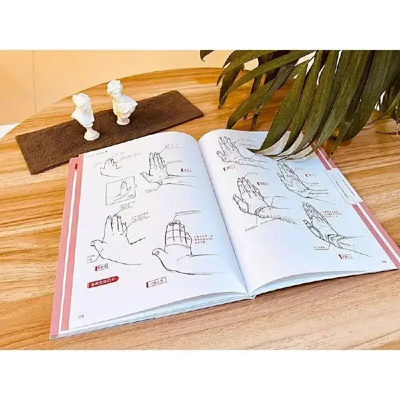 Handmaltechniken Anfänger Zero Basic Anime Charakter Hände Zeichnen Tutorial Kunstbuch