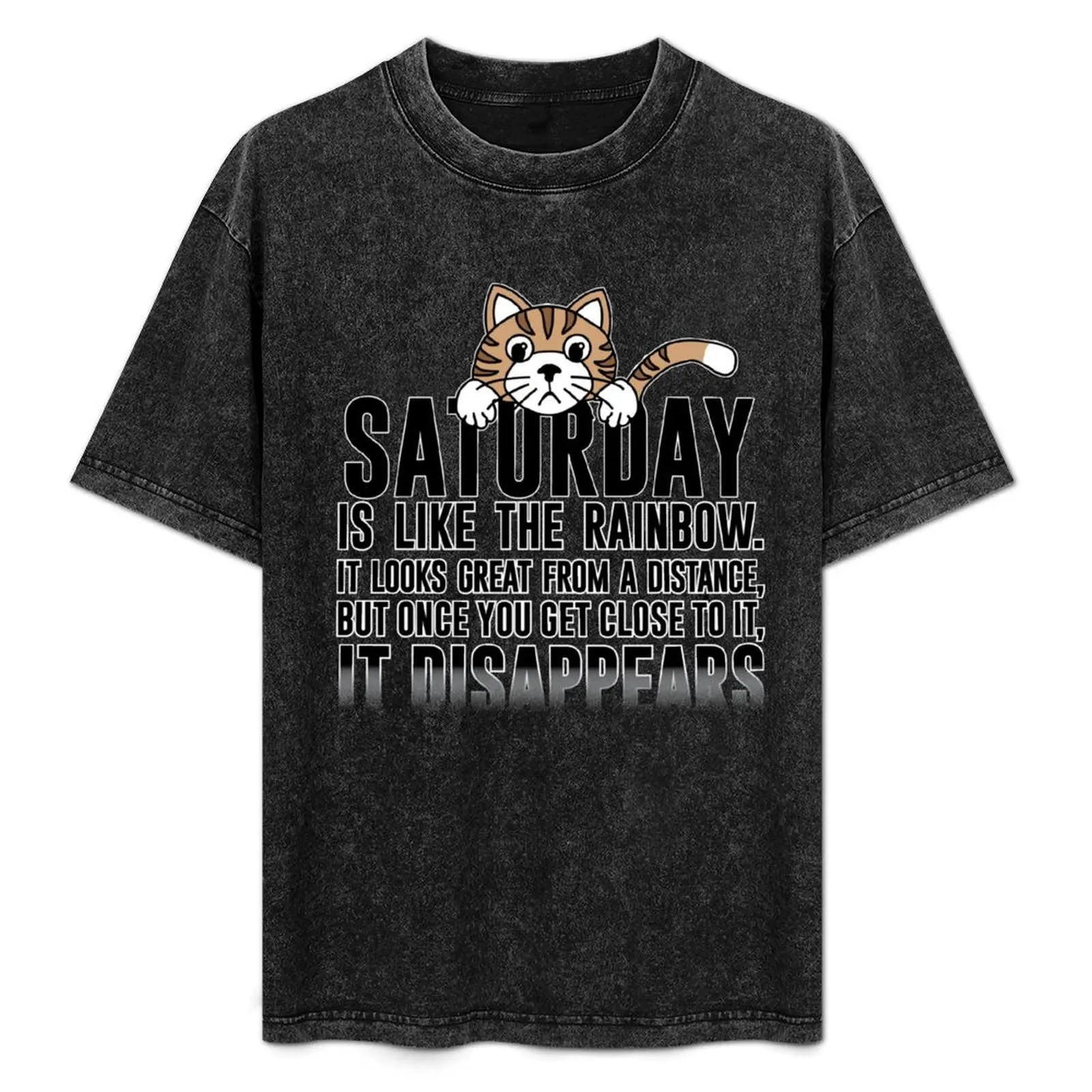 

Saturday is like the rainbow. It looks great from a distance, but once you get close to it, IT DISAPPEARS. T-Shirt