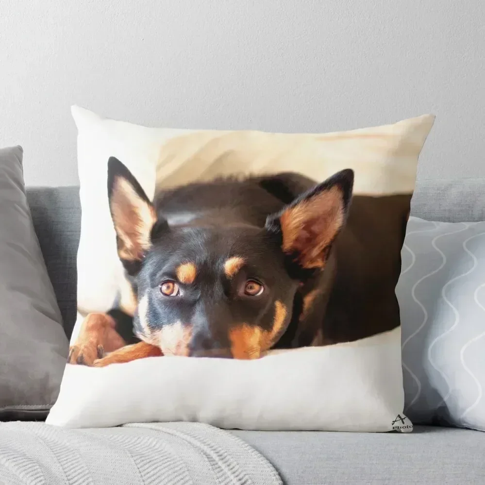 

AWDRI Calendar 2013 - February Throw Pillow Sofa Pillow Cover Cushions For Sofa bed pillows Room decorating items pillow