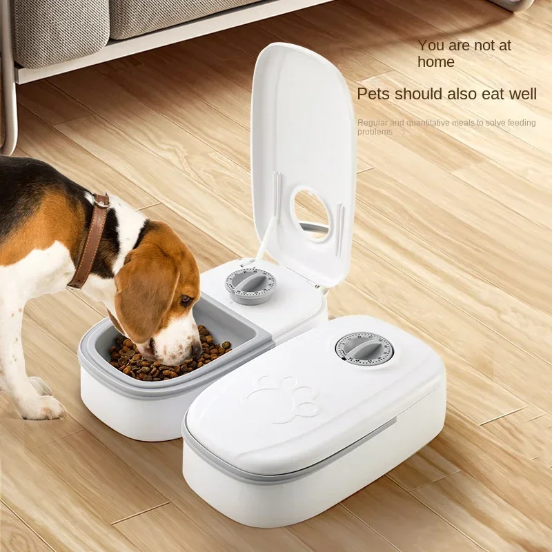 #10 Trending Automatic Puppy Feeders Right Now