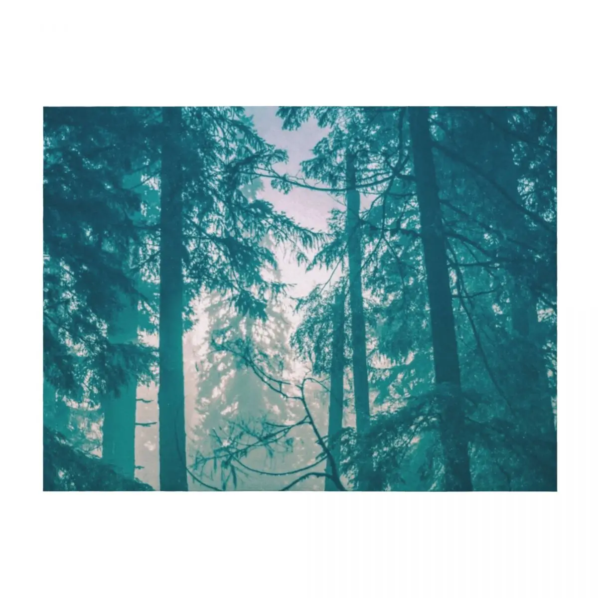 

Nature Forest - Misty Turquoise Woods Throw Blanket Summer Beddings funny gift wednesday Hairys Blankets