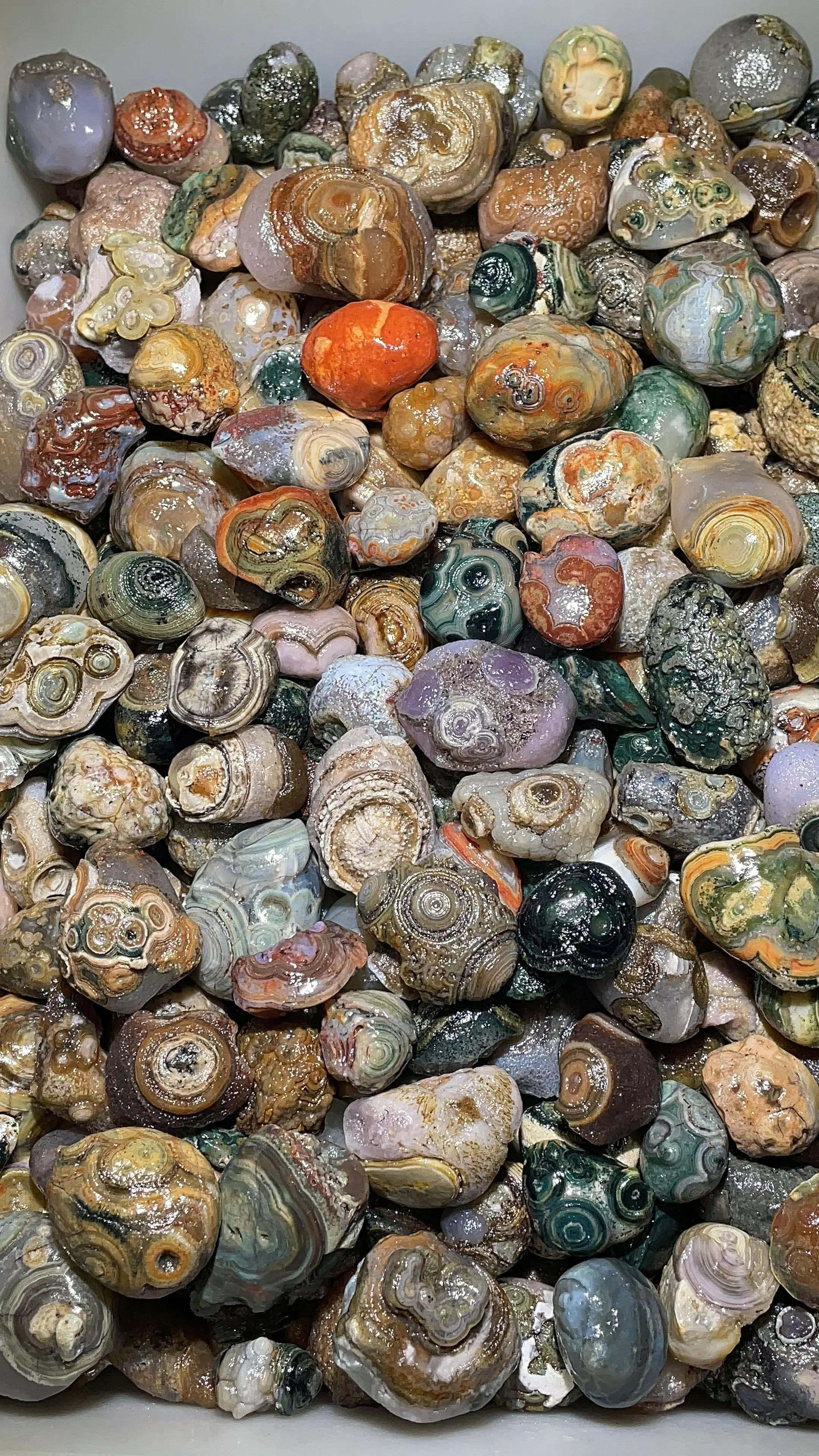 

5kg/lot wholesale beautiful precious energy stones high-quality vibrant colorful Gobi agate rough stones natural eye pattern