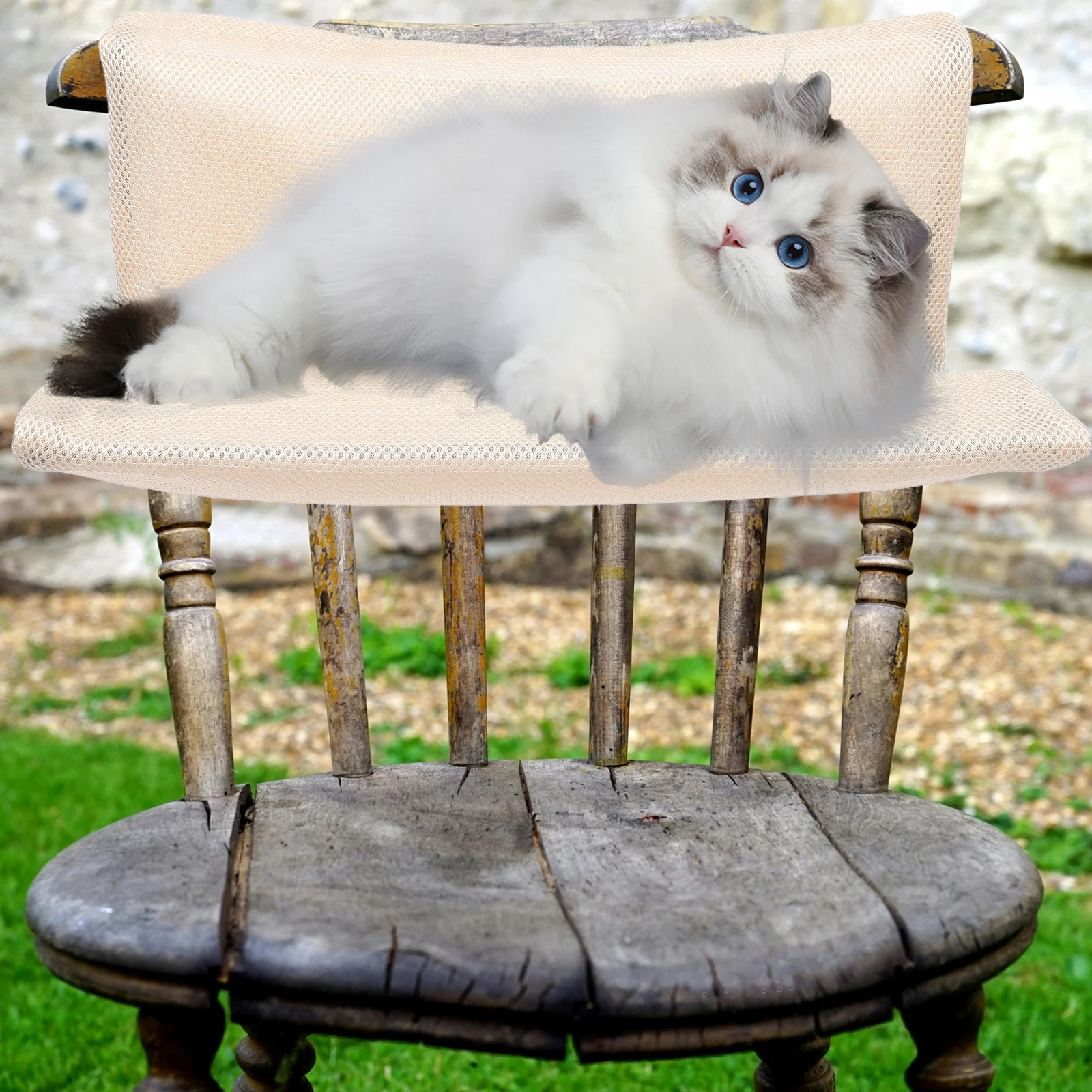 

Hanging Cat Bed Hammock for Large Cats Cute Nest Indoor Window Shell Cat Hammock Breathable Mesh Fabric Foldable Washable Pet