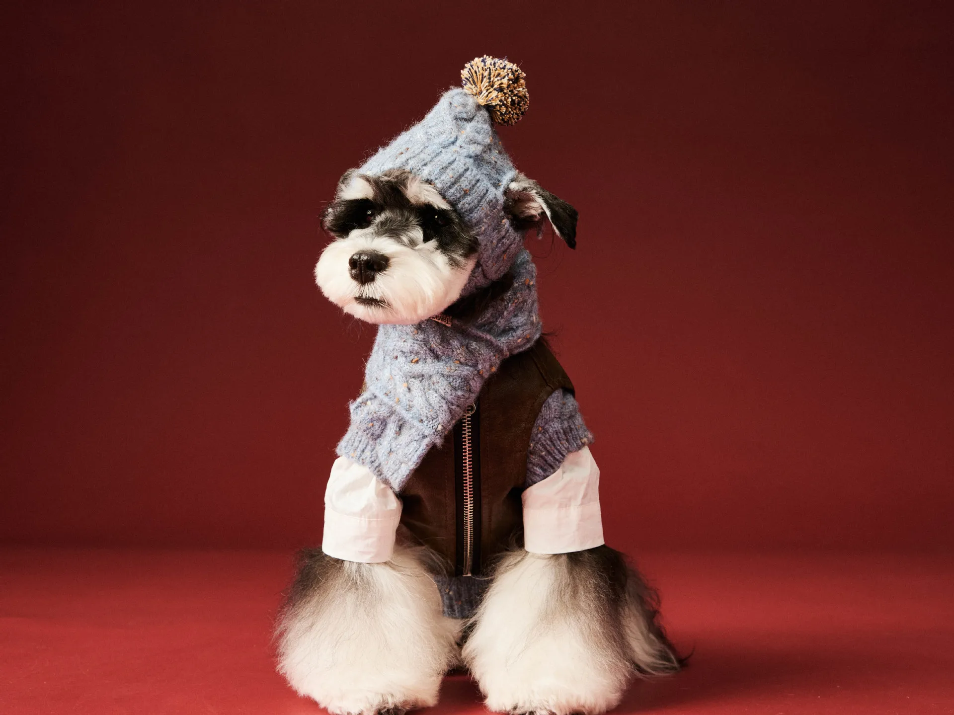 

Fashionable Trendy Knitted Gray Blue And Pink Warm Pet Fur Hat Scarf Suit