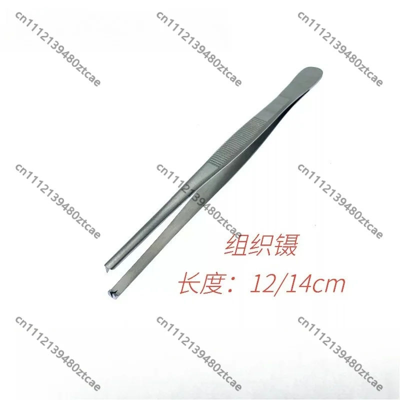 veterinary-rat‑tooth-tissue-forceps-hooked-edison-tweezers-animal-surgical-dressing-instrument