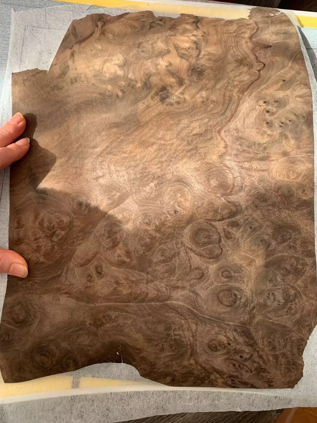 Natural Black Walnut Burl Wood Veneer for Furniture and Instruments - about 0.2mm Thick image 3