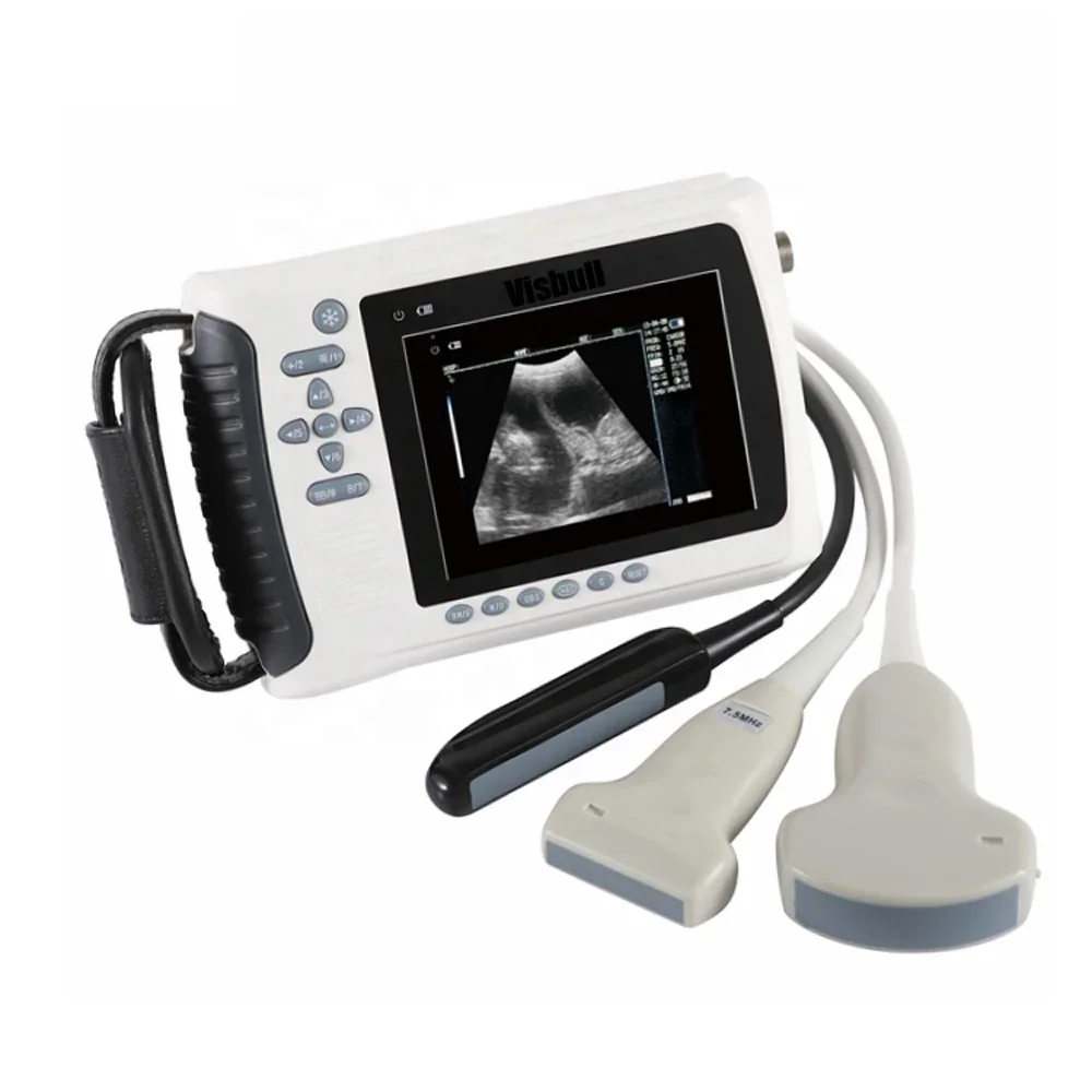 

Most economic professional vet ultrasound scanner veterinary gestation scan machine