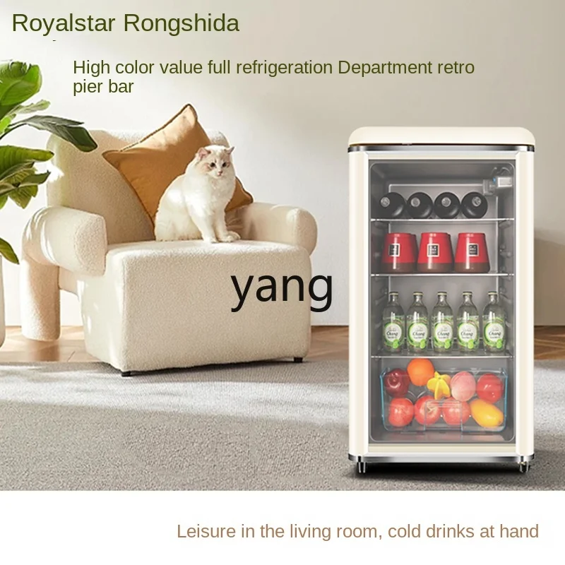 CX Vintage Pier Bar Frozen to Keep Fresh Household Small Living Room Bedroom Display Refrigerator