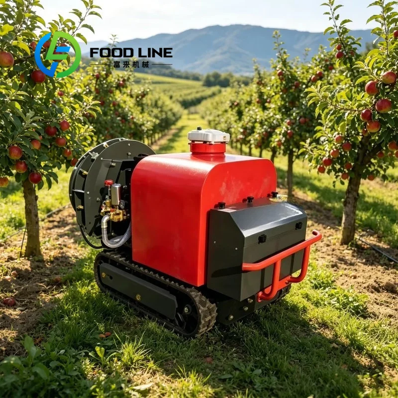 Customized Remote Control Crawler Sprayer Farm Greenhouse Track Spraying Machine For Vegetable Plant Control And Regular Work