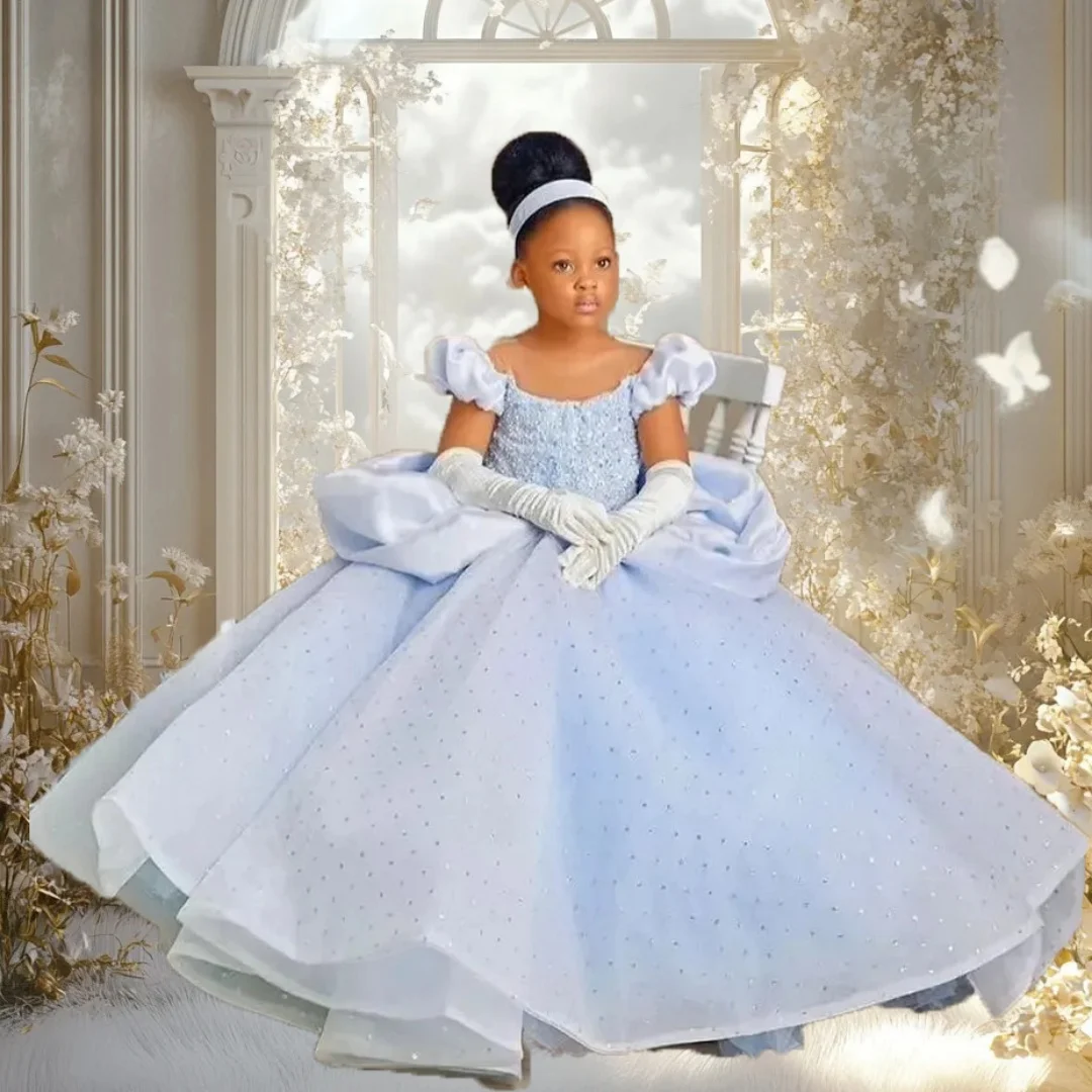 

Light Blue Flower Girl Dresses Pageant Gown for Wedding Sequins Scoop Neck Floor Length Birthday Party First Communion Gowns