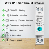 RMshebei WiFi Smart Circuit Breaker 1P+N 63A Auto Recloser Energy Meter Prepaid Overload Protection Tuya APP Control Timer 220V