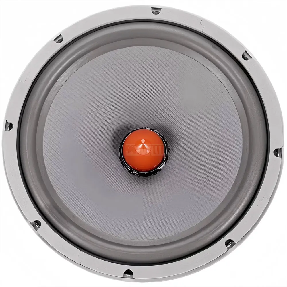 12-inch Subwoofer/Speaker: Limited-Time NEW Upgrade for an Enhanced Audio Experience