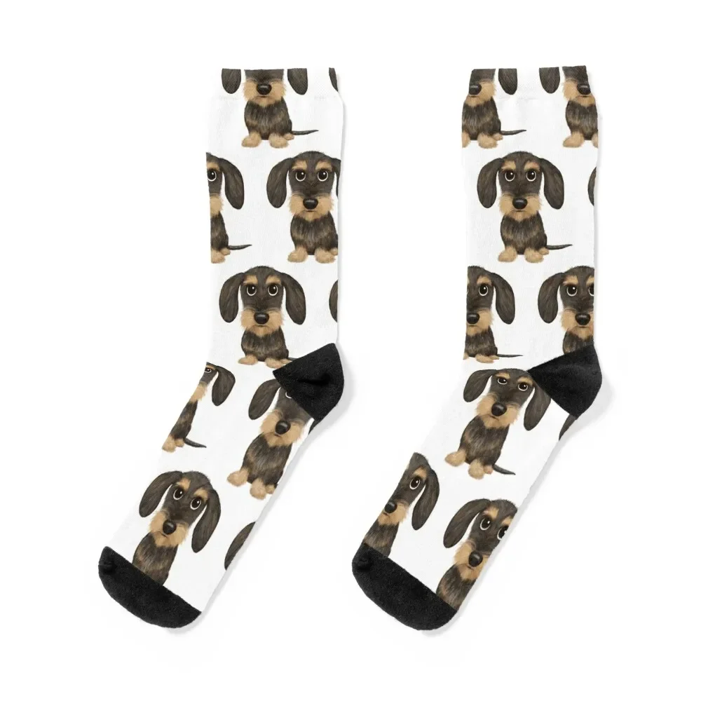 

Wirehaired Dachshund Cute Wire Haired Wiener Dog Wild Boar and Tan Teckel Socks floral compression Socks Ladies Men's