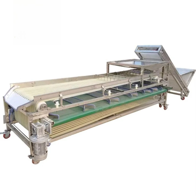 Vegetable/fruit Sorting Machine Potato Tomato Garlic Chili Pepper Onion Carrot Cucumber Mushroom Grading Machine