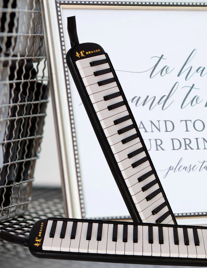 

Hooqu High Quality Wholesale Professional Performance Grade Melodica 37 Keys Melodica Musical Instrument