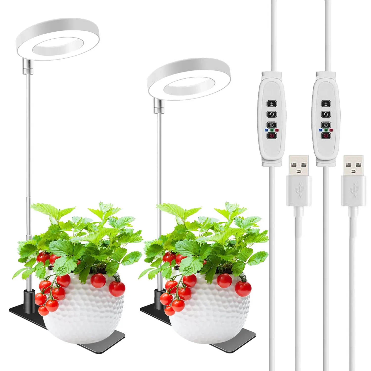 

LED Ring Grow Lights, Full Spectrum Halo Growing Lamp with Stand Base 3/6/12H Timer, White Plant Light for Small Indoor Growing