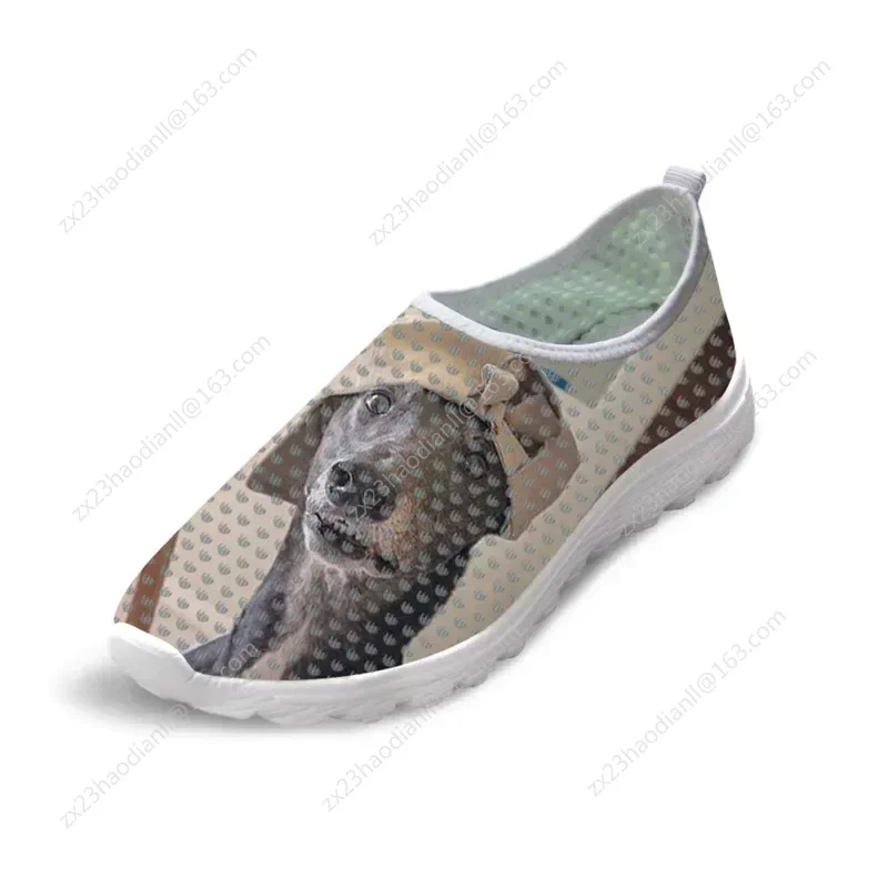 O Elusive Greyhound Dog Print sapatos para mulheres, tênis de malha feminina, esportes leves ao ar livre, lazer, verão