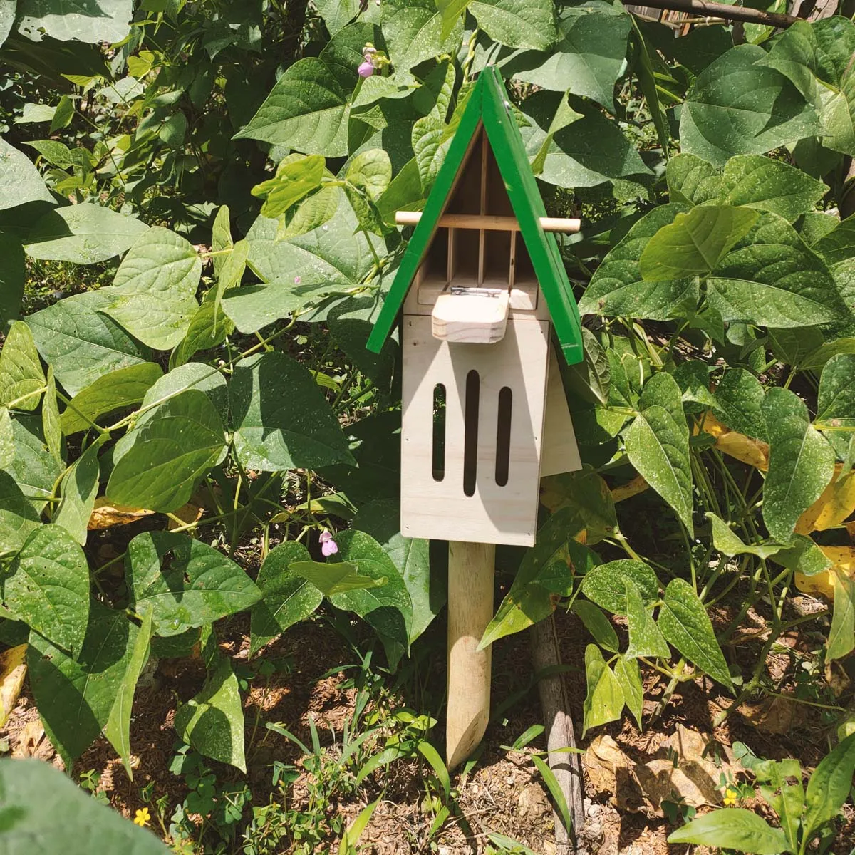 Wooden Butterfly House Butterfly Room Garden Decoration Outdoor Green Roof Can Be Planted in the Ground Butterfly House 1 Piece