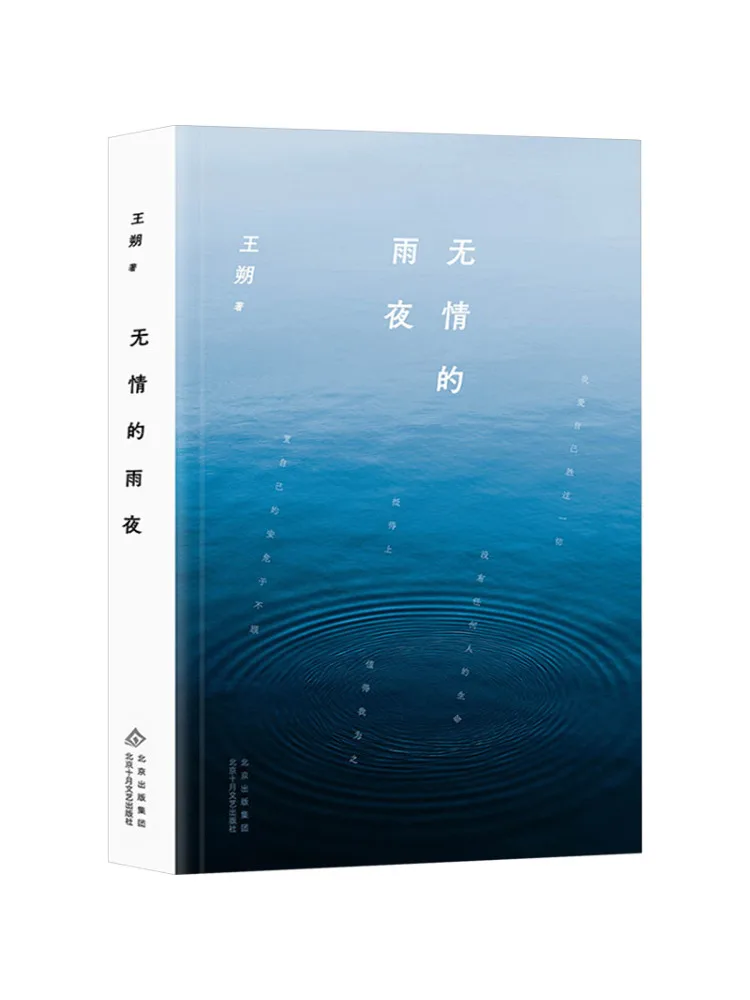 

Книга-роман «Безжалостная дождливая ночь»