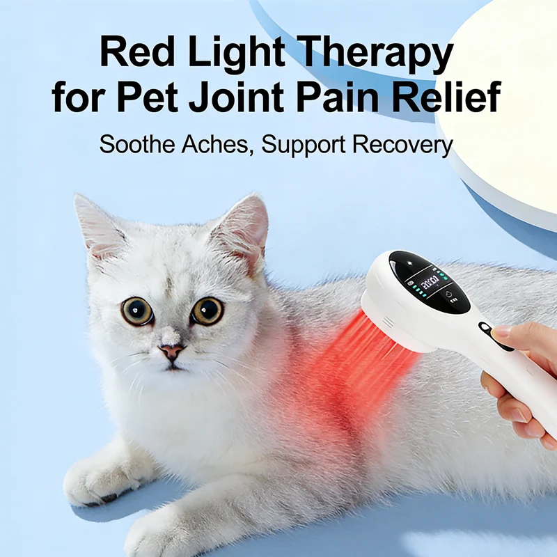 

650 нм/808 нм холодный низкоуровневый лазерный терапевтический прибор красного света, оборудование для физиотерапии мышц артрита, облегчение боли для домашних животных