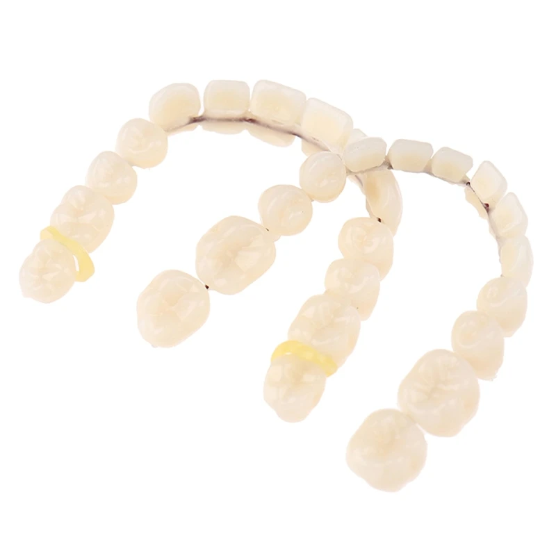 Nhựa Răng Răng Giả Trên Dưới Bóng Nhân Tạo Preformed Dentition Chăm Sóc Răng Miệng Chất Liệu Dụng Cụ Thả Vận Chuyển