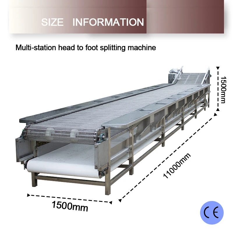 特大マシンのグレーディング,ポテトソート機,商用,高効率,クイックソート