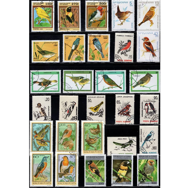 50 PCS  All Different Topic Birds Postage Stamps No Repeat Unused With Post Mark  For Collecting