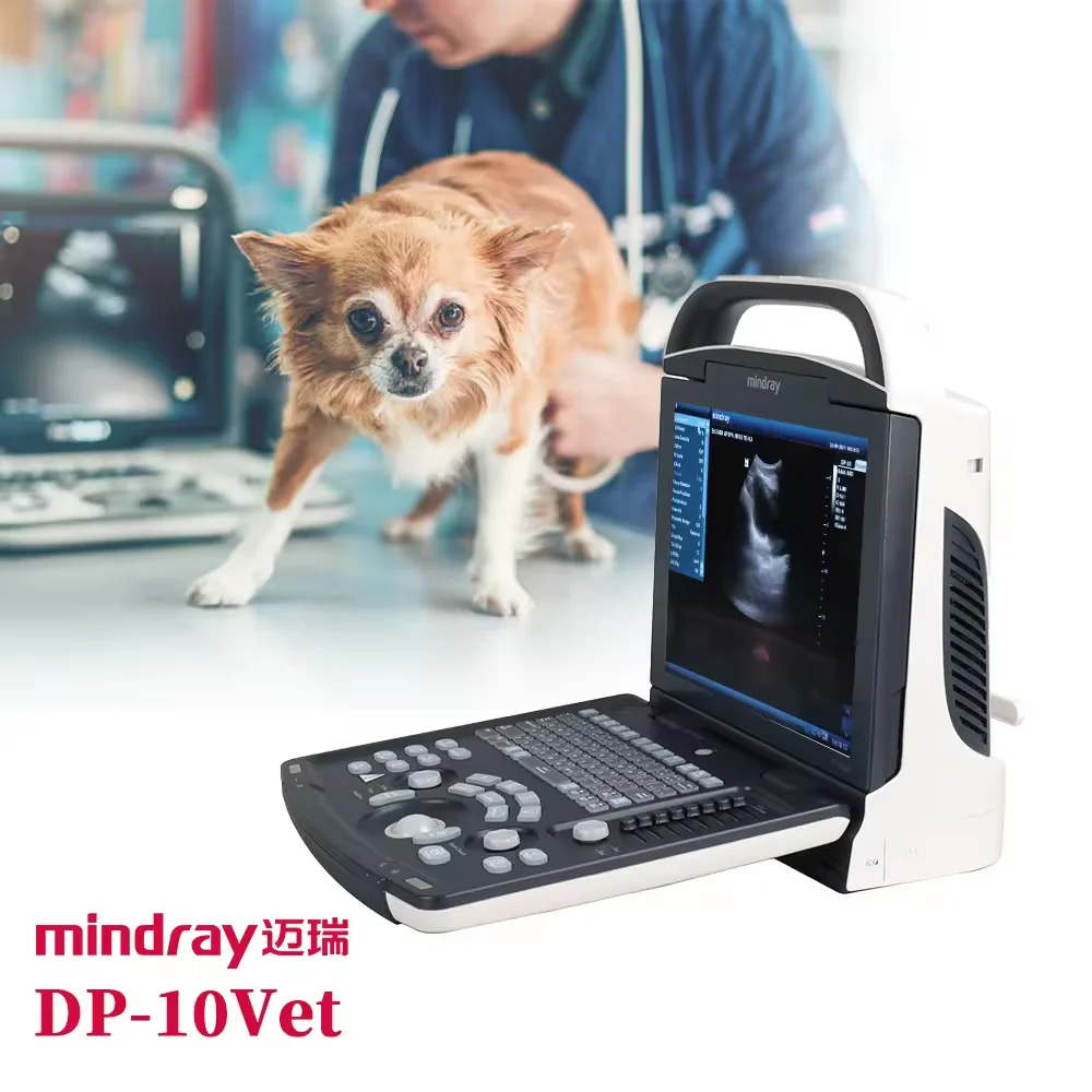 Ecógrafo Veterinario Mindray Dp10, Sonda Ecocavitaria Mindray Dp10