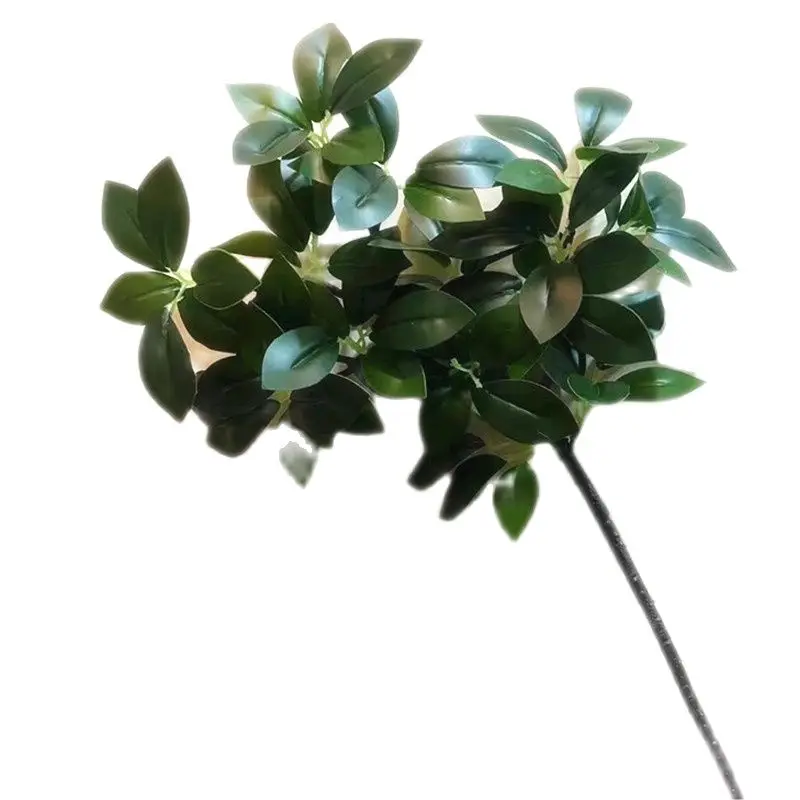 7pcs Artificial Peperomia Sterm Tetraphylla Tree Branch Subtropical Green Plant