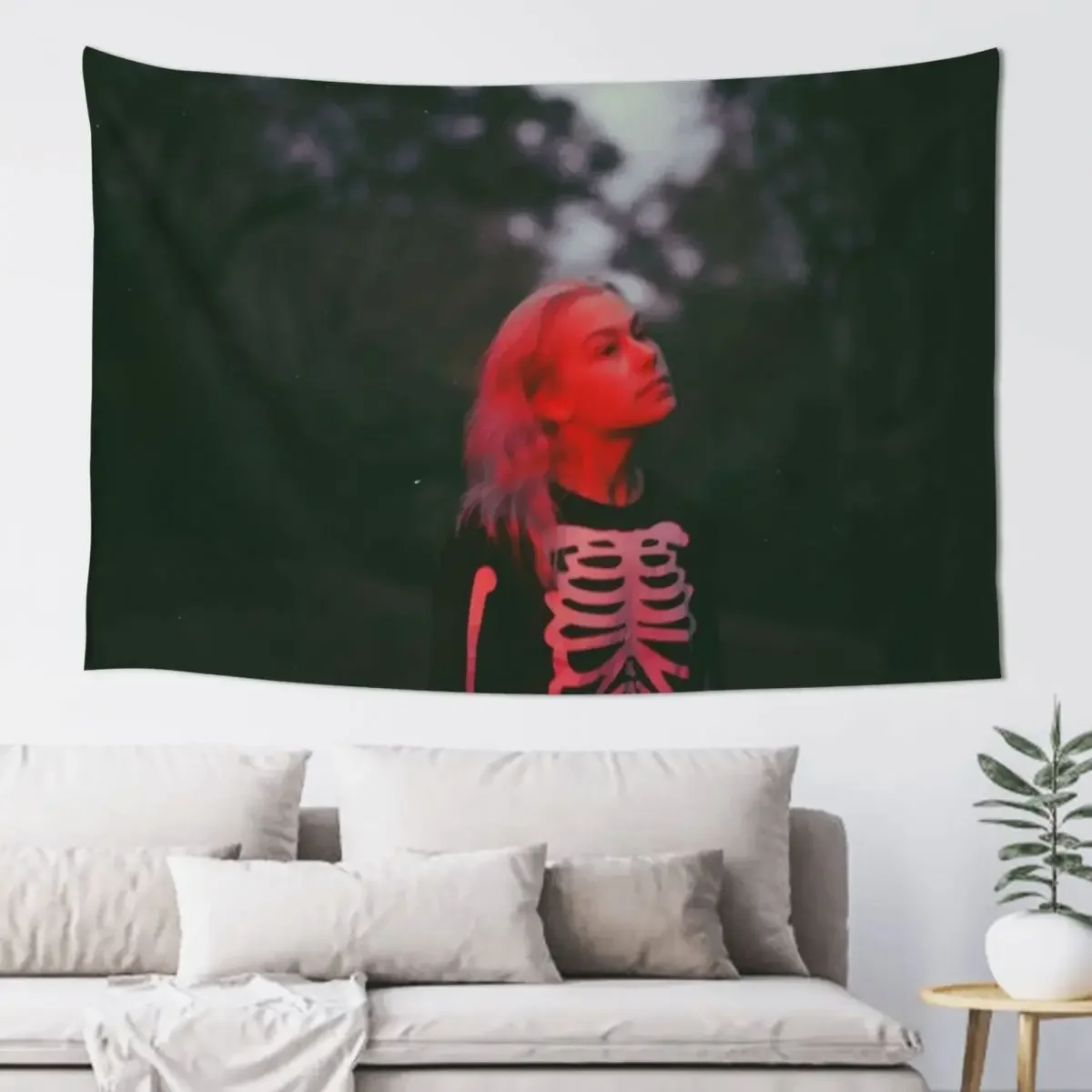 Phoebe Bridgers Tapestry Home Decor Accessories Aesthetic Room Decor Tapestry