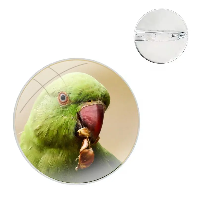 Glass Dome Brooches Badge Pins For Clothes Hat Shirt Lapel Bag Blue Ringneck Parrot Art