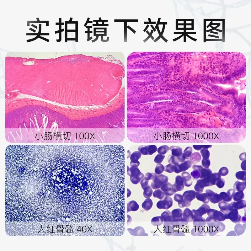 Professional biological microscope high definition scientific experiment research SW350 binocular