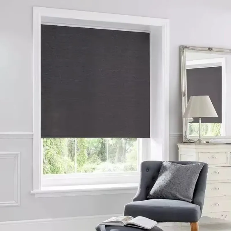 

Size Customized Best Quality Hot Selling Smart Home Motorized Roller Blinds Window Curtain for Home Decoration