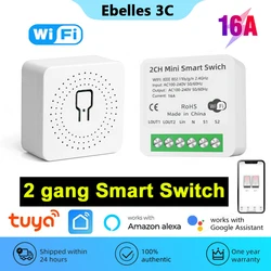 Tuya DIY WiFi Switch Module 2CH 16A Smart Home Light Breaker Relay Smart Life APP Timer Voice Control Works With Alexa Google