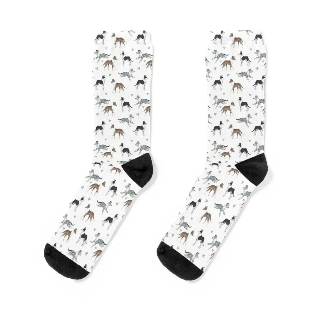 

The Smooth Collie Dog Socks floral Antiskid soccer sport Stockings man Socks For Men Women's